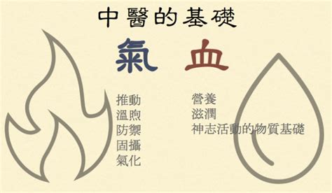 病氣|《中醫詞典》解釋「病氣」的意思